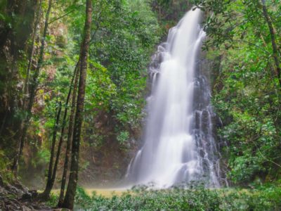 Discover San Ignacio, Belize- Your Ultimate Guide To Adventure